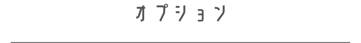 オプション文字(SP)